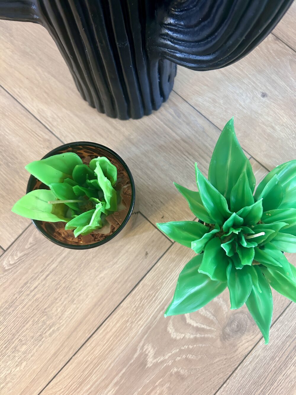 Bougie ⎪Plante verte – Image 2