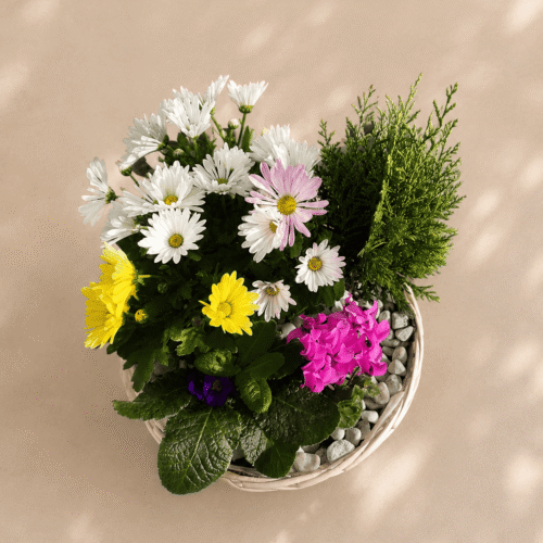 Coupe de plantes hommage