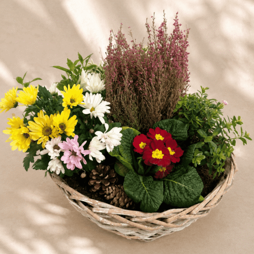 Coupe de plantes │ HOMMAGE